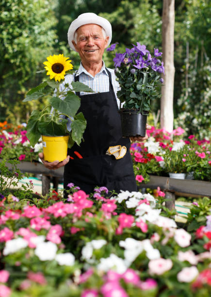 istock Older man in greenhouse 1174240944
