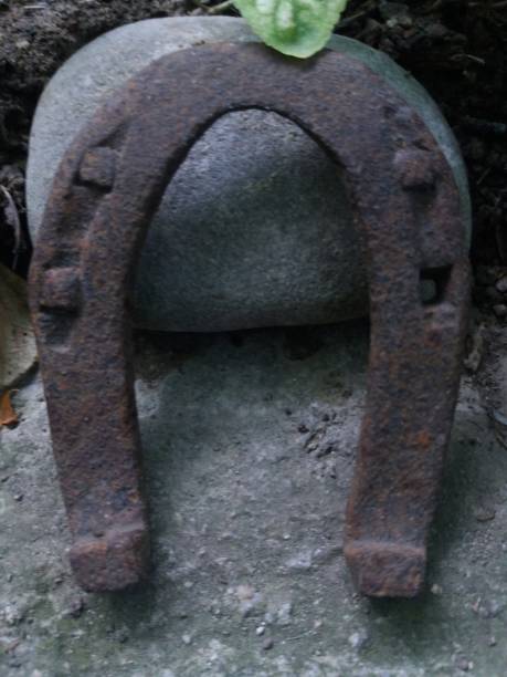 istock old horseshoe in the garden 1174241824