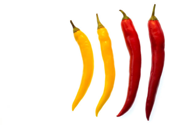 istock Red and yellow chilli peppers with white background 1174244178