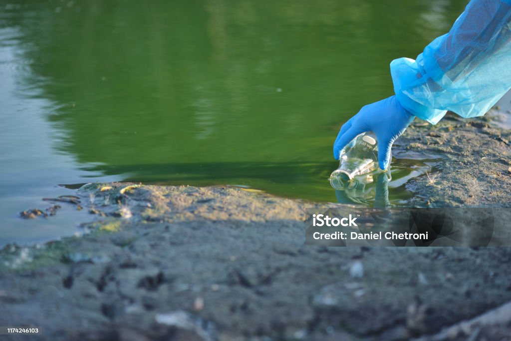Close-up environmentalist hand of a researcher in a process of taking a sample of contaminated water from a lake Water Stock Photo