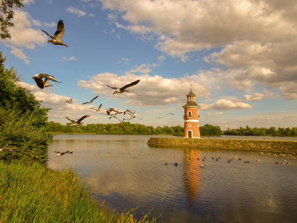istock Lighthouse at the hunting lodge Moritzburg 1174246331