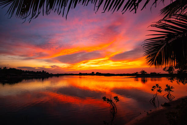 istock sunset on the beach in Sri Lanka 1174247500