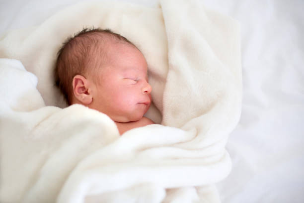 bebé recién nacido acostado en cuna en el hospital prenatal - premature fotografías e imágenes de stock