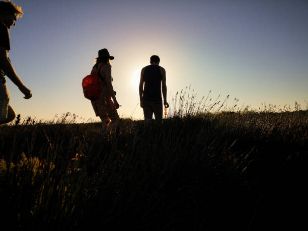 istock Silhouette of three young explorers hiking in high grass 1174250041