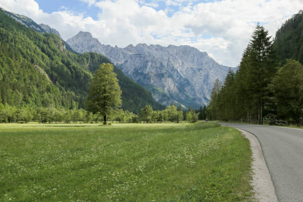 istock Logar valley under Slovenian alps. 1174257150