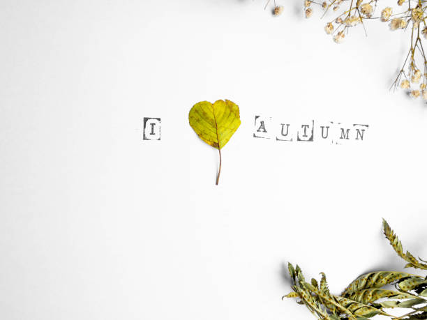 An autumn leaf with heart shaped and flower. I love autumn concept