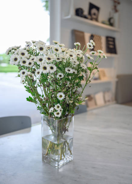 White flower green stalk in glass vase
