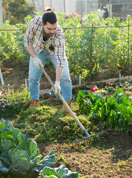 istock Man raking grass in homestead 1174260127