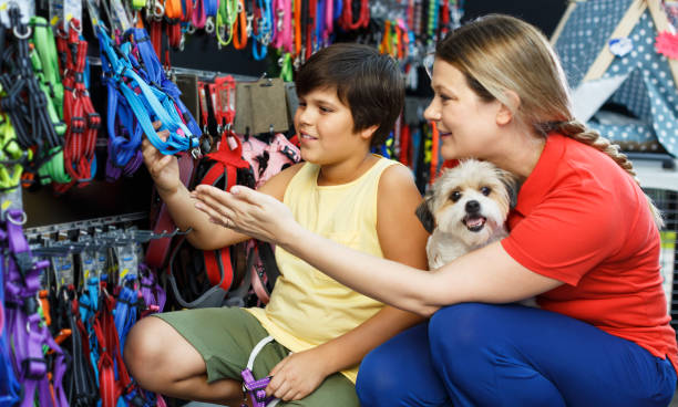 istock Family choosing dogs accessories 1174260801