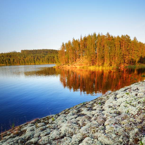 istock Saimaa lake in Finland on a clear day 1174260940
