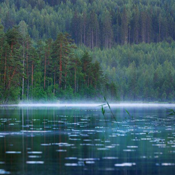 istock Saimaa lake in Finland 1174260975
