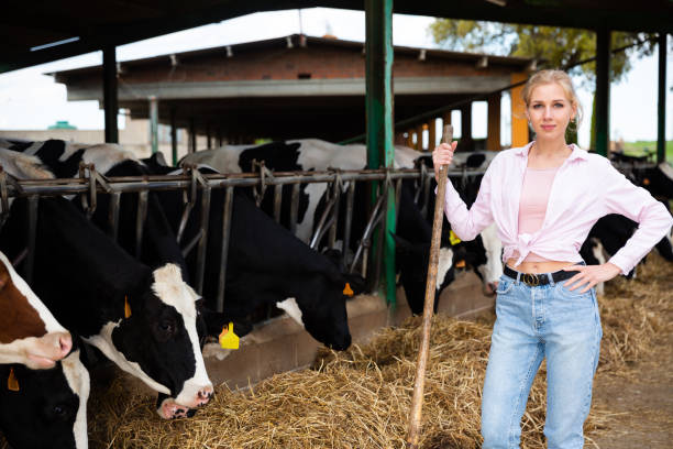 istock Female  farmer with shovel standing during work  at  cowhouse 1174261793
