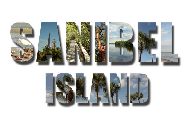 istock Sanibel Island Florida collage on white 1174265308