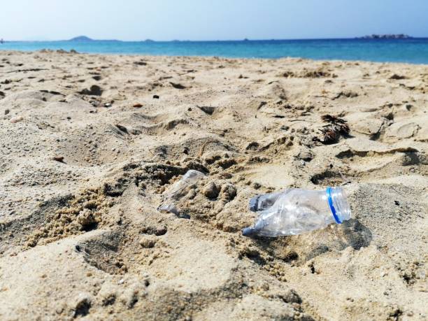 istock Plastic bottle of water on the beach.Pollution concept. 1174271998