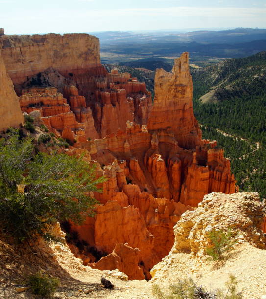 istock Bryce Canyon National Park 1174274567