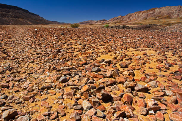 Ancient rocky river bed in Richtersveld region of Northern Cape, South Africa