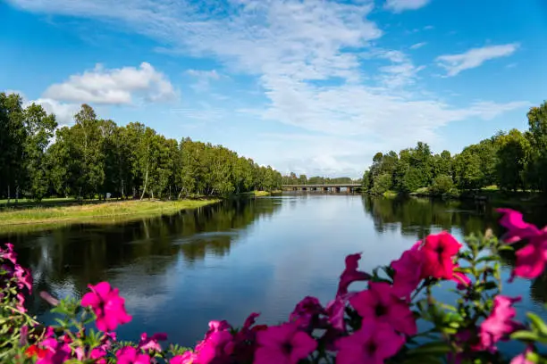 the river going through town with trees and flowers on the side