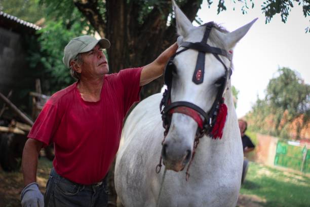 istock Farmer on ranch with horse 1174284299