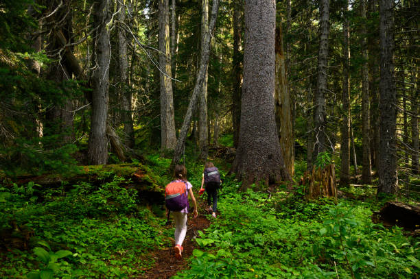 istock Sisters enjoying time in nature 1174289331