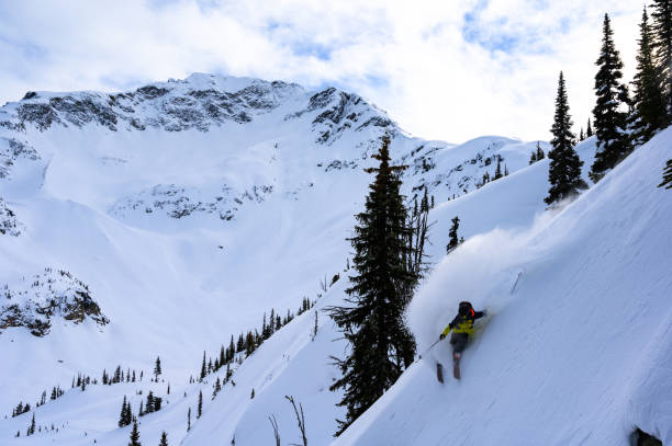 istock Skiing fresh powder on a ski vacation 1174289552