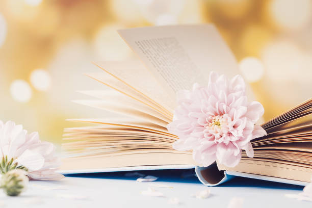 istock Opened old book with chrysanthemum flower on blurred bokeh background 1174291758