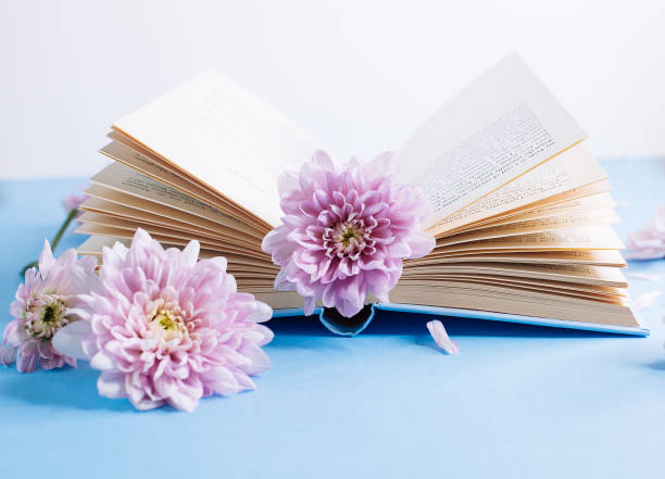 istock Opened old book with chrysanthemum flower on blurred bokeh background 1174291803