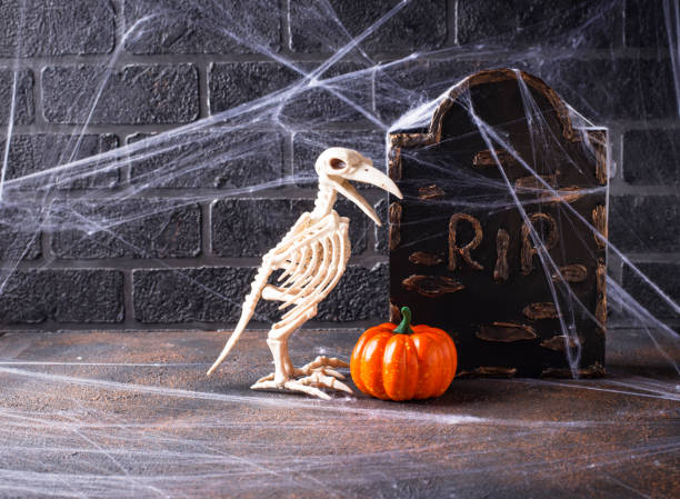 istock Halloween background with bird skeleton 1174293288