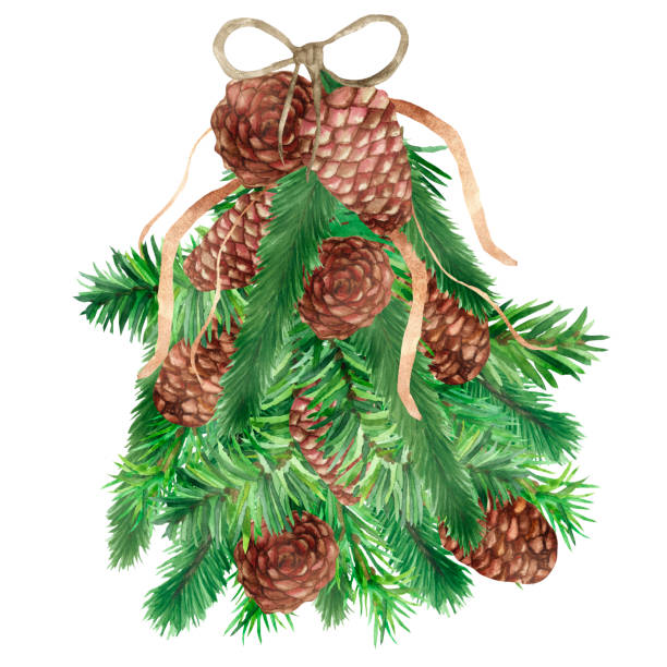 акварелевая рука окрашена природа хвойная новогодняя композиция с зеленой еловой елки ветви, коричневые конусы, лук и гирлянды на белом фо� - pine nut nut isolated pine cone stock illustrations