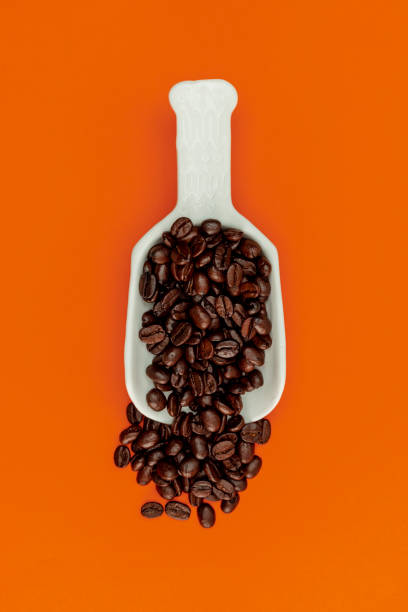 shovel with coffee beans - 13584 imagens e fotografias de stock
