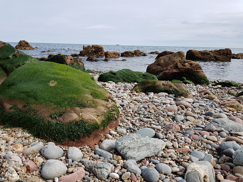 Howth summit rocky beach,moss stones,in Howth,Ireland