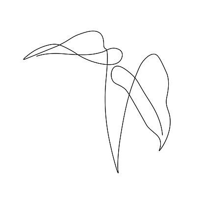 Tropical leaves in continuous line art drawing style. Minimalist black line sketch on white background. Vector illustration
