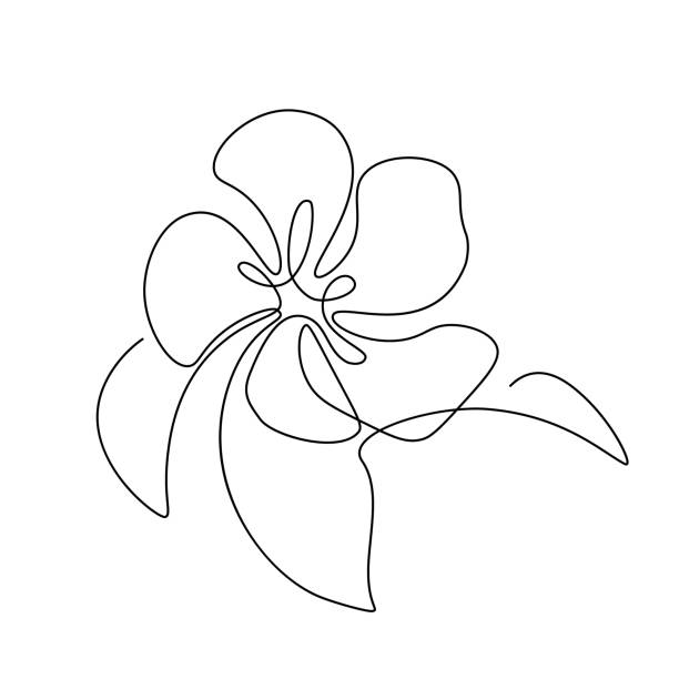 Abstract flower with leaves Abstract flower with leaves in continuous line art drawing style. Apple, cherry or peach tree blossom. Minimalist black line sketch on white background. Vector illustration apple blossom stock illustrations