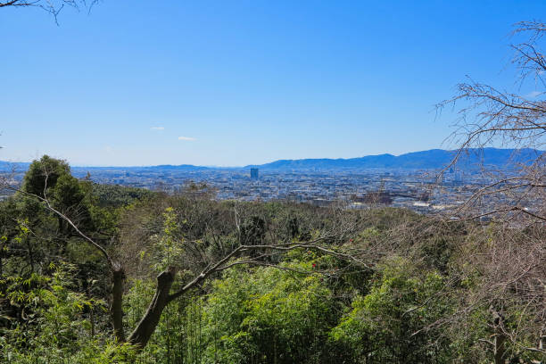 istock view to tokyo city from the hill 1174298000