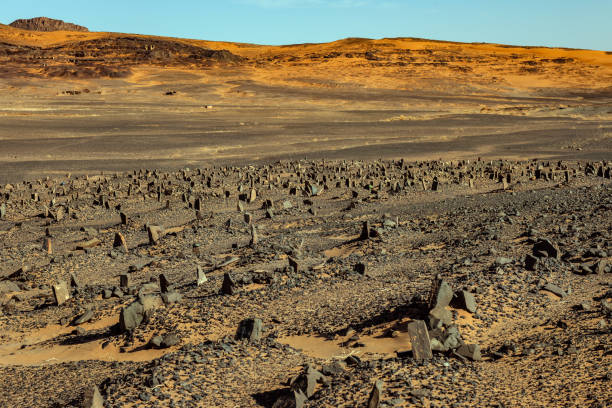 istock Graveyard at Erg Chebbi Sand Dunes, Morocco, North Africa 1174298673