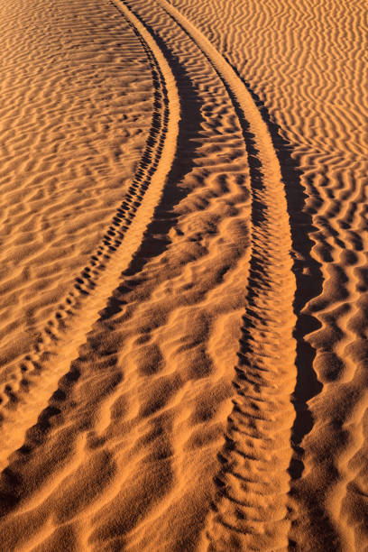 サハラ砂漠のタイヤトラック, モロッコ, 北アフリカ - landscape desert wave pattern erg chebbi dunes ストックフォトと画像