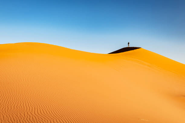 男性観光客の写真、 砂丘、午後、エルグ・チェビ、モロッコ、北アフリカ - landscape desert wave pattern erg chebbi dunes ストックフォトと画像