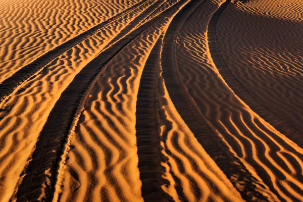 шины треки в пустыне сахара, марокко, северная африка - landscape desert wave pattern erg chebbi dunes стоковые фото и изображения