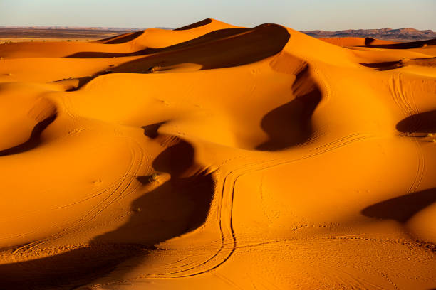 サハラ砂漠のタイヤトラック, モロッコ, 北アフリカ - landscape desert wave pattern erg chebbi dunes ストックフォトと画像