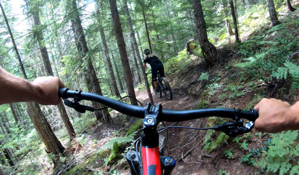 istock Female mountain biker rides on path through forest 1174299393