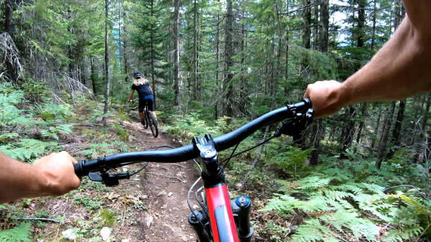 istock Female mountain biker rides on path through forest 1174299428
