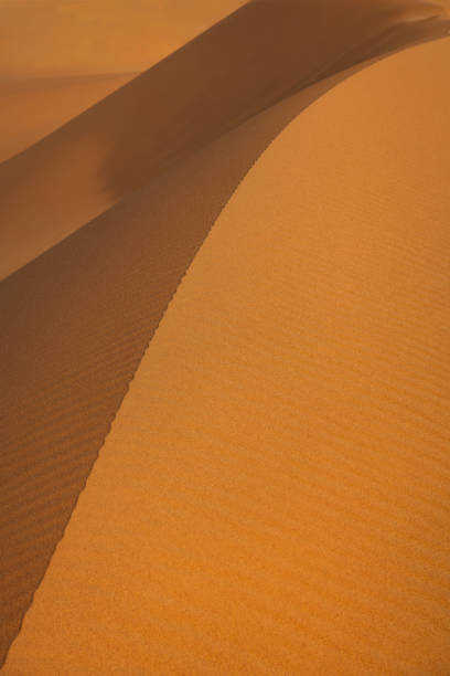 砂とエルグチェビ砂漠、メルズーガ、モロッコ、北アフリカ - landscape desert wave pattern erg chebbi dunes ストックフォトと画像