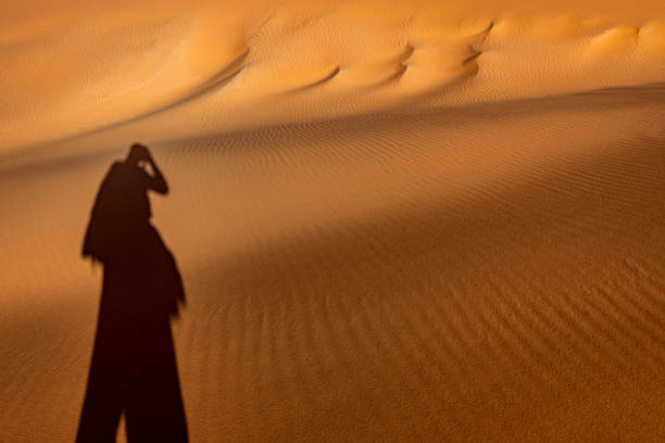 istock Shadows on Erg Chebbi Sand Dunes, Morocco, North Africa 1174299689