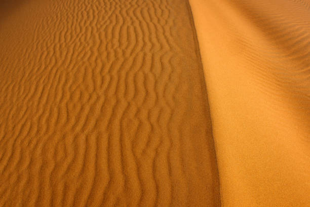 istock Sand and Erg Chebbi Desert, Merzouga, Morocco, North Africa 1174299721