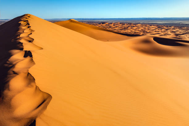 エルグ・チェビ砂漠の砂の足跡、モロッコ、北アフリカ - landscape desert wave pattern erg chebbi dunes ストックフォトと画像