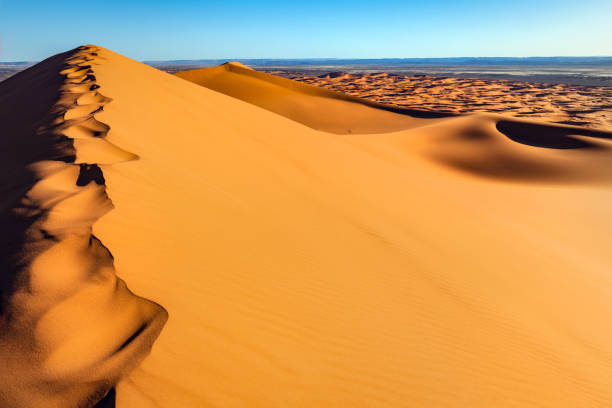 следы на песке в пустыне эрг чебби, марокко, северная африка - landscape desert wave pattern erg chebbi dunes стоковые фото и изображения