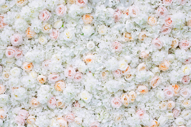 istock Flowers wall background with white and light orange roses. 1174304838