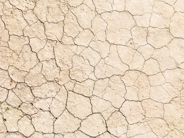 istock Dried cracked earth soil ground texture background 1174305905
