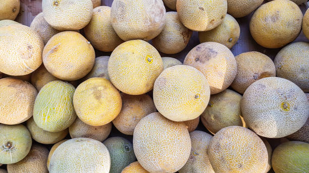 istock Top view of group of melons 1174314113