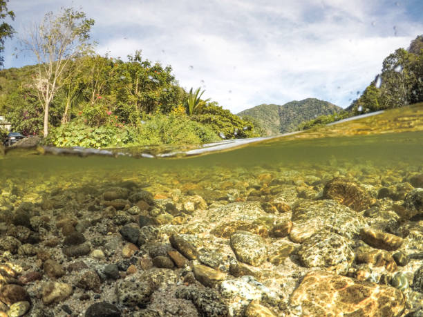istock Boca de Tomatlan Jalisco Puerto Vallarta 1174314232