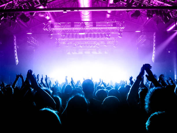 istock Concert crowd in front of a live stage 1174314791